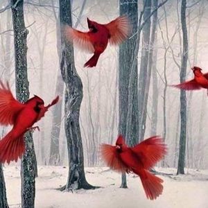 Meet your Posher, Steve